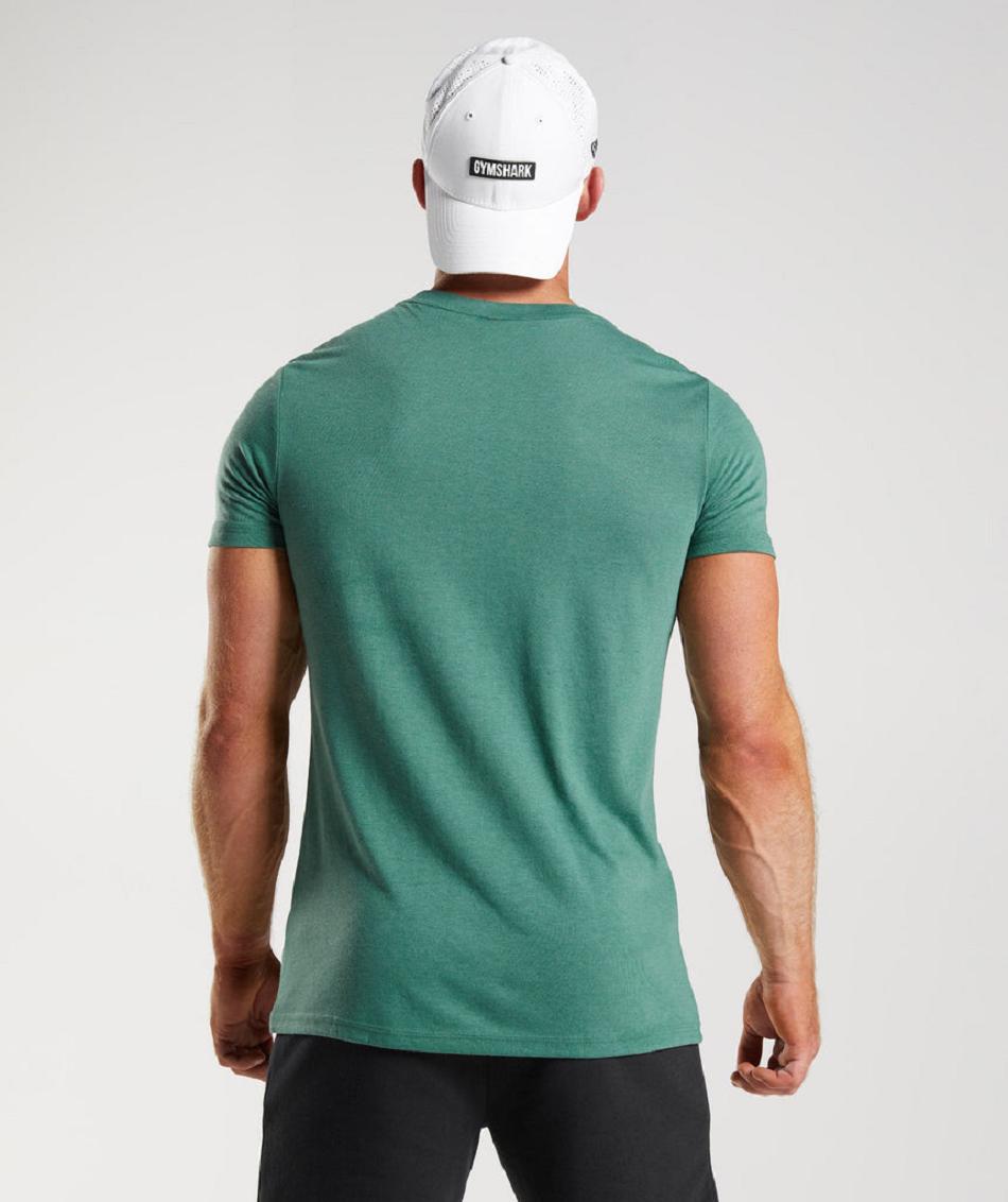 T Shirts Gymshark Legacy Hombre Verde | CO 3324EBC